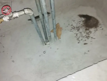 辽阳市卫生间测漏水价格明细